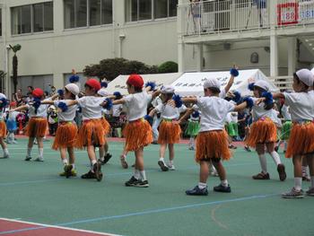 平成28年度大運動会 日本橋小学校