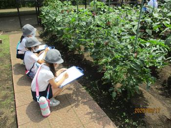 ホーム 月島第一小学校